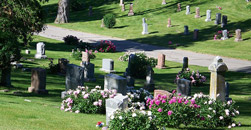 Ellison Funeral Home